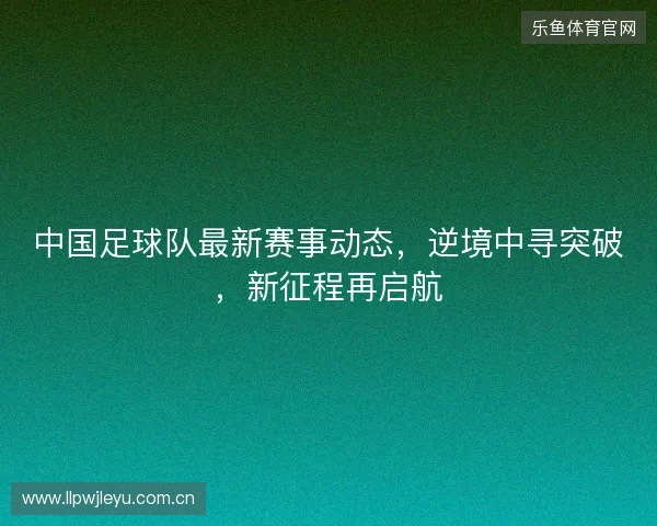 中国足球队最新赛事动态，逆境中寻突破，新征程再启航