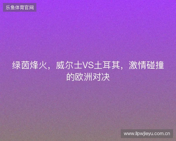 绿茵烽火，威尔士VS土耳其，激情碰撞的欧洲对决